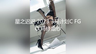 星之迟迟 2023 3月计划C FGO 玛修婚纱