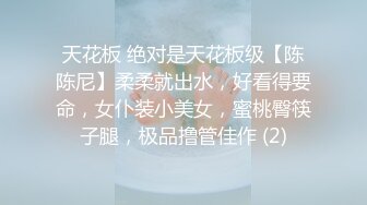 天花板 绝对是天花板级【陈陈尼】柔柔就出水，好看得要命，女仆装小美女，蜜桃臀筷子腿，极品撸管佳作 (2)