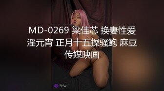 MD-0269 梁佳芯 换妻性爱淫元宵 正月十五操骚鲍 麻豆传媒映画