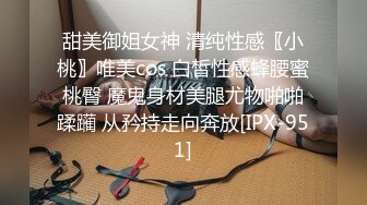 星空無限傳媒 XKG219 爆操女友的風騷二姐 念念