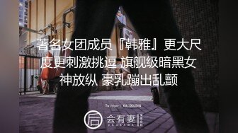 luvian 男人的夢想寵物超品質身材的淫女友熱愛露出調教[78P+319M]