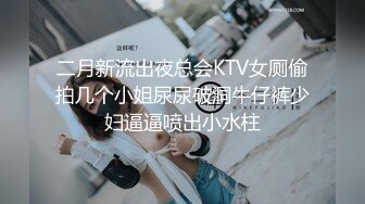 【新片速遞】 KTV女厕偷拍长发美女的小黑鲍 毛毛还挺多的