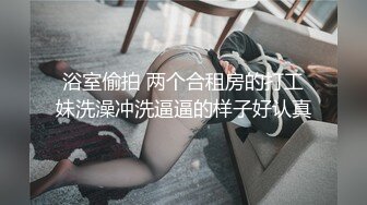 秀人网巨乳网红 朱可儿 2023最新付费福利，粉色透视大尺度 (1)