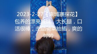 说话温柔颜值女神，应要求马桶上自慰，呻吟嗲嗲太诱惑了