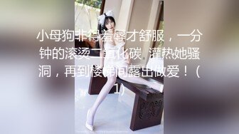 【新速片遞】 商场女厕多镜头全景偷拍多位美少妇的极品美鲍