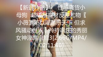 全景偷拍商場女廁-多位美女店員的各種美鮑魚