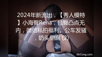 2024年新流出，【秀人模特】小海臀Rena，包臀凸点无内，微信私拍福利。公车发骚，奶头侧漏 (2)