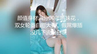 《臀控✿少妇控✿必备》经典广场舞系列~欧美范极品翘臀性感少妇【李米亚】诱惑私拍~各种情趣扭臀晃腰挑逗露逼裸舞