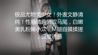 阿朱内部私购 NO.025 女仆与猫