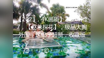 【2023，4K画质】2020.4.17，【赵总探花】，极品大胸外围，这奶子超赞，收藏版