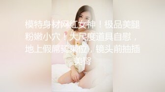 肉肉身材少妇 性感黑丝大屁股舔屌口交 抬起双腿抽插猛操 翘起大屁股最后口爆