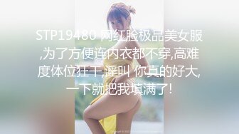 推特专约极品大神『反派』爆操调教多位极品身材小姐姐，把性感女神开发成发情的小母狗！1