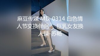 麻豆传媒 MD-0314 白色情人节交换伴侣❤️巨乳女友换人操-苏畅