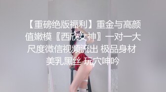 麻豆传媒 MD-0299 麻豆女神与幸运粉丝的木屋约会