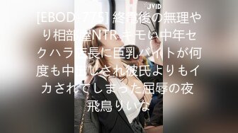 【正片】DASD-353 信じて預けた最愛の妻が上司に寝取られ種付けプレスされていた 本田岬