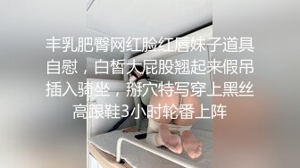 丰乳肥臀网红脸红唇妹子道具自慰，白皙大屁股翘起来假吊插入骑坐，掰穴特写穿上黑丝高跟鞋3小时轮番上阵