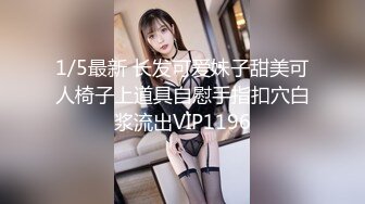 国产麻豆AV MD MD0162 淫荡话语翻译机 仙儿媛