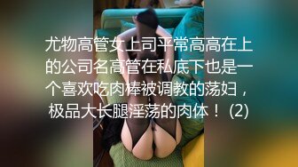 尤物高管女上司平常高高在上的公司名高管在私底下也是一个喜欢吃肉棒被调教的荡妇，极品大长腿淫荡的肉体！ (2)