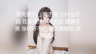 与身着赤兔服渔网袜之02行房事