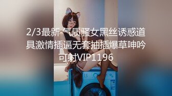 ❤️旗袍诱惑❤️ 气质且淫荡  玉乳美腿   撅着大肥臀求操【36V】 (23)