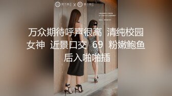 亚洲女孩与她的毛茸茸的猫擦公鸡，让他暨在内裤