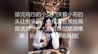 人妻熟女出来偷吃，骚母狗随便玩