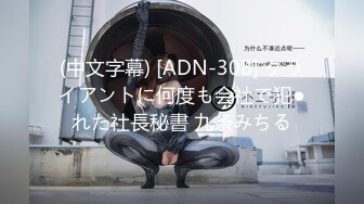 (中文字幕) [ADN-308] クライアントに何度も会社で犯●れた社長秘書 九条みちる