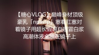 【糖心VLOG】巅峰身材顶级豪乳「npxvip」塞着肛塞对着镜子用超长假屌自慰冒白浆高潮体液全喷在镜子上