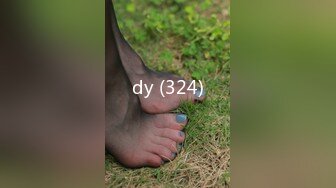 dy (324)