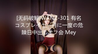 [无码破解]WANZ-301 有名コスプレイヤー月に一度の危険日中出しオフ会 Mey