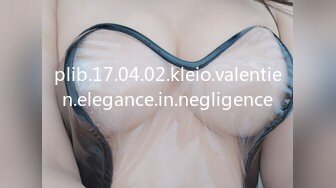 plib.17.04.02.kleio.valentien.elegance.in.negligence