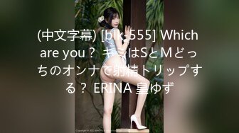 (中文字幕) [blk-555] Which are you？ キミはSとMどっちのオンナで射精トリップする？ ERINA 皇ゆず