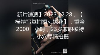 新片速遞】2023.12.28，【模特写真拍摄丶探花】，重金2000一小时，23岁兼职模特，小穴尽情拍摄